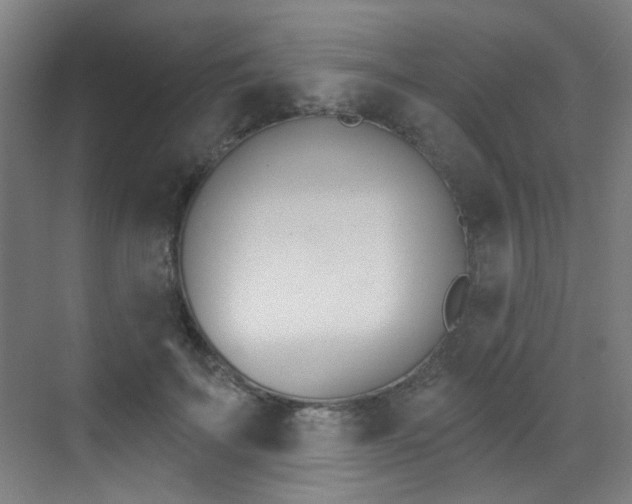 X0000073440699200607281031