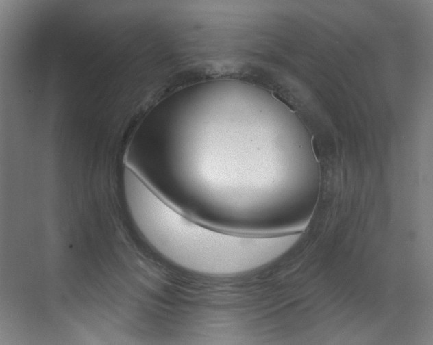 X0000073440700200607281031