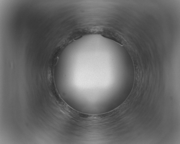 X0000073440704200607281031