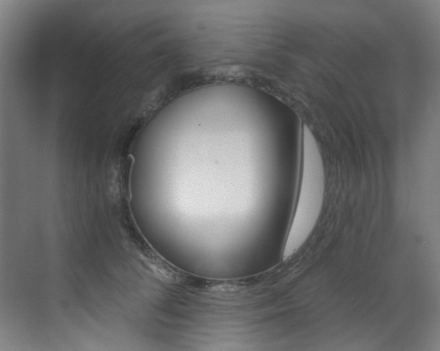 X0000073440708200607281031