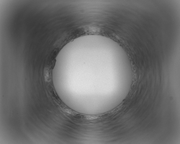 X0000073440709200607281031