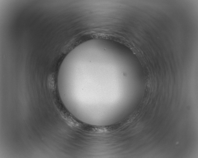 X0000073440715200607281031