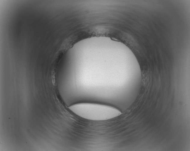 X0000073440718200607281031