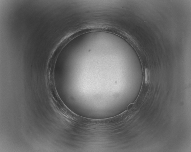 X0000073440723200607281030