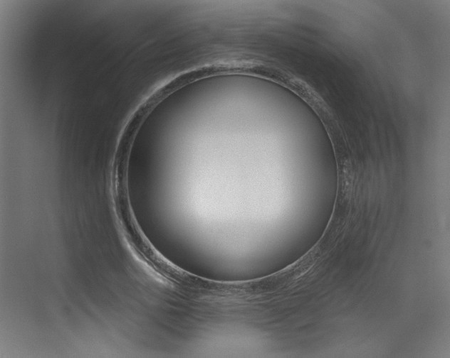X0000073440726200607281030