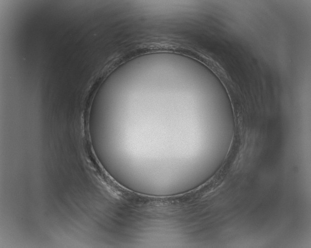 X0000073440729200607281030