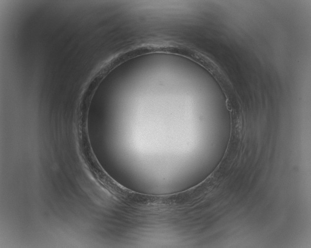 X0000073440732200607281030