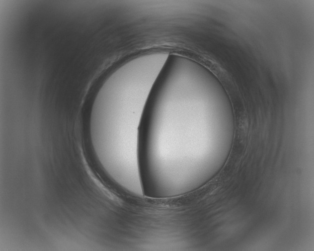 X0000073440734200607281030