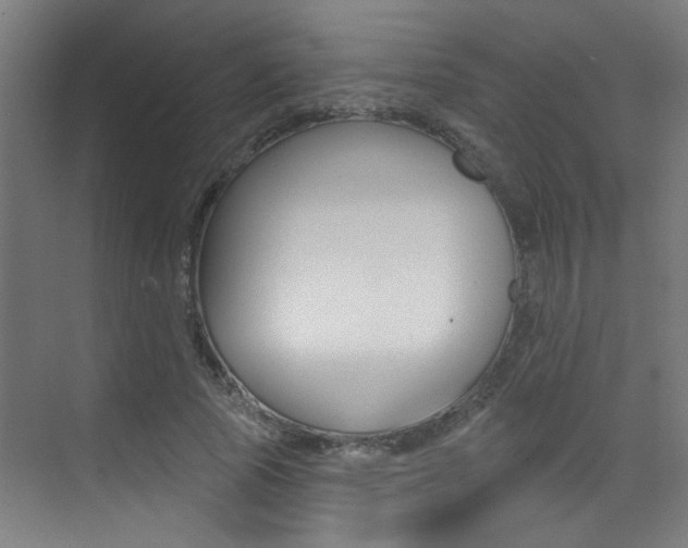 X0000073440737200607281030
