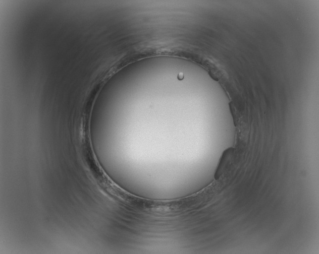 X0000073440740200607281030