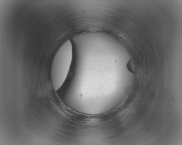 X0000073440741200607281030