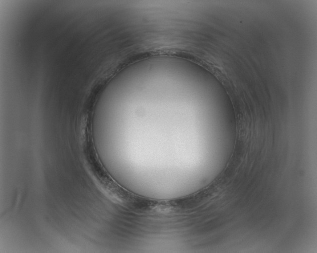 X0000073440742200607281030