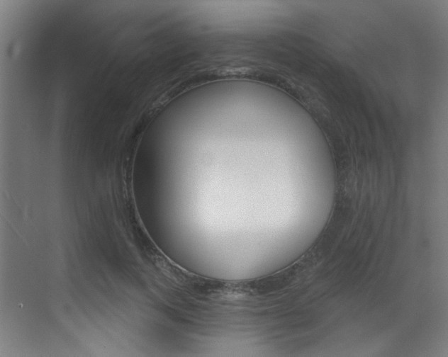 X0000073440743200607281031