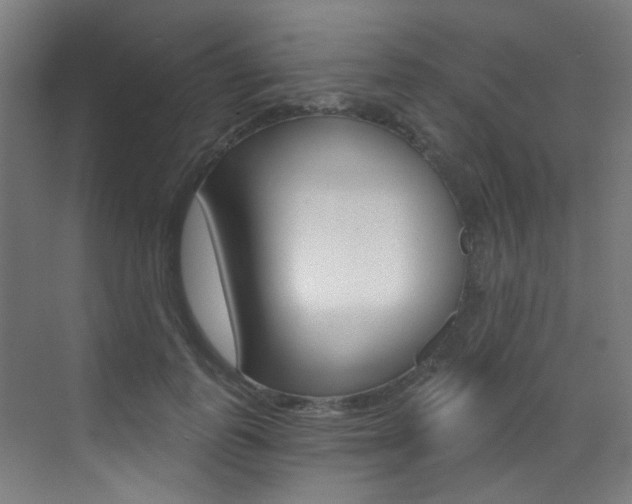 X0000073440747200607281031