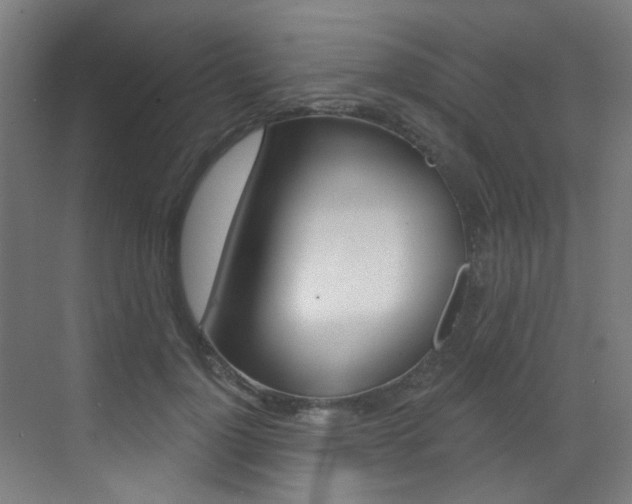 X0000073440748200607281031