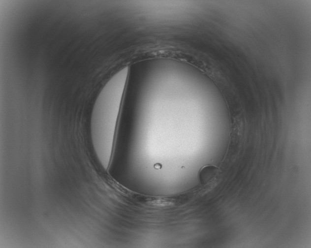 X0000073440754200607281031
