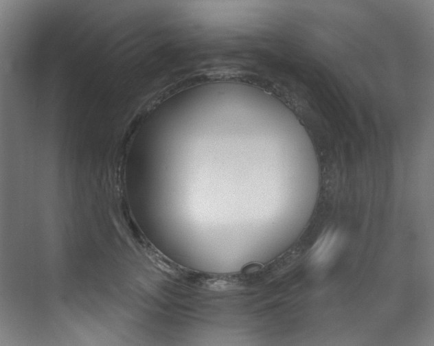 X0000073440755200607281031