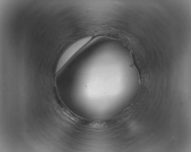 X0000073440756200607281031