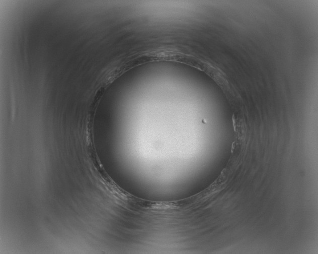 X0000073440762200607281031