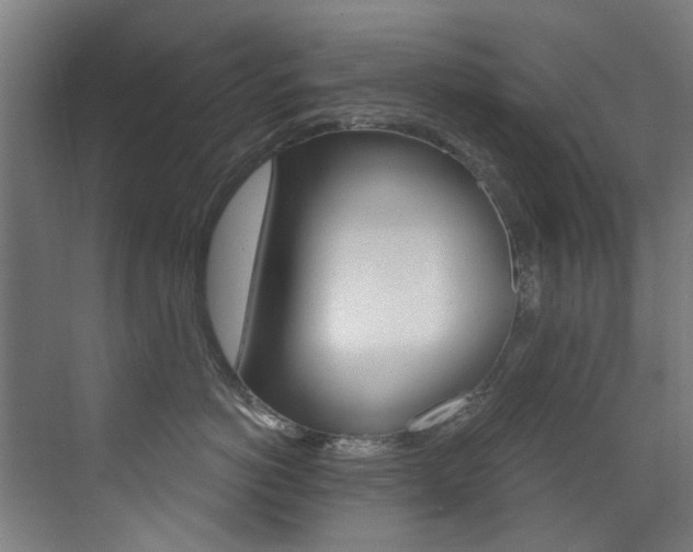 X0000073440766200607281031