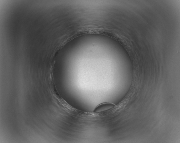 X0000073440768200607281031