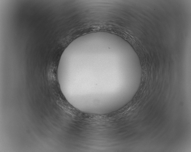 X0000073440770200607281030