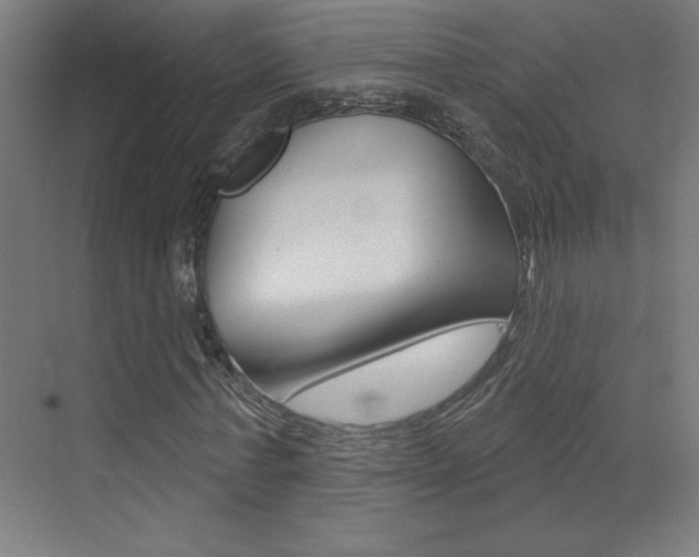X0000073440771200607281030