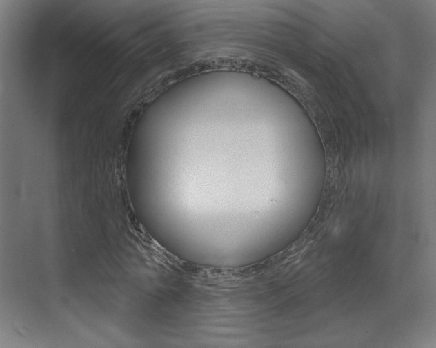 X0000073440774200607281030