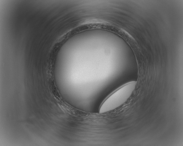 X0000073440775200607281030
