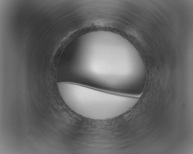 X0000073440776200607281030