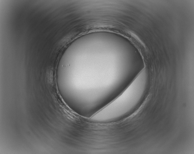 X0000073440777200607281030