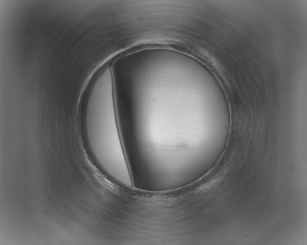 X0000073440779200607281030