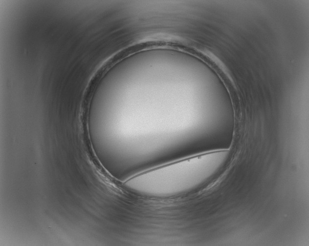 X0000073440783200607281030
