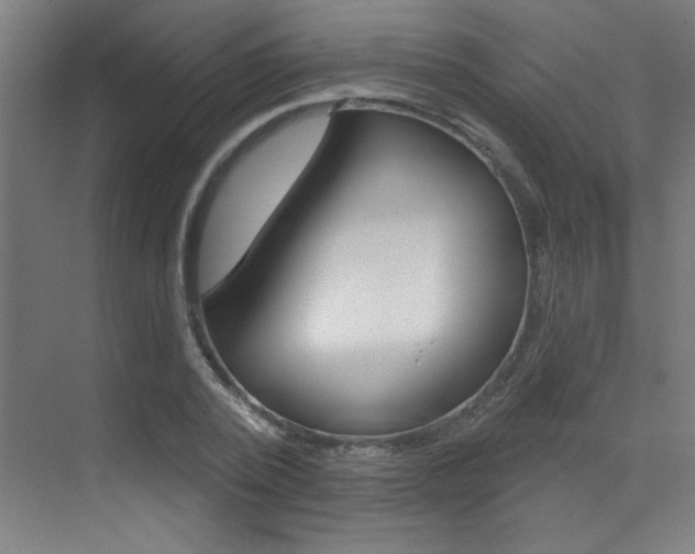 X0000073440784200607281030