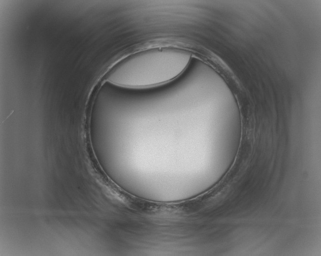 X0000073440786200607281030