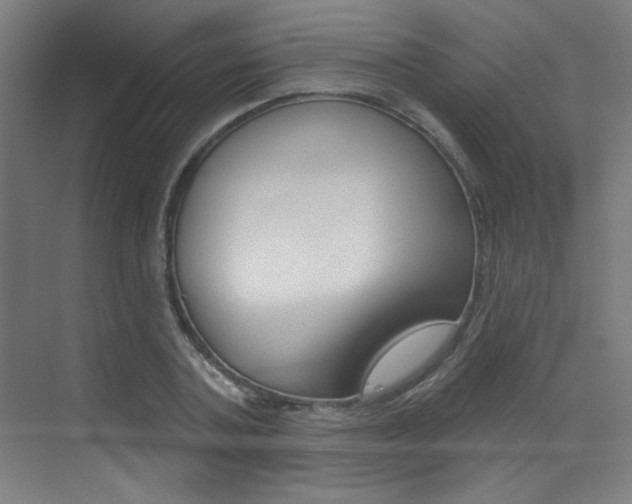 X0000073440787200607281030
