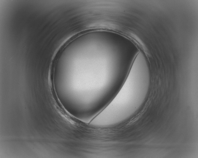 X0000073440788200607281030