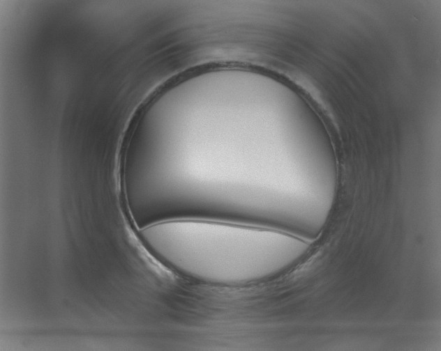 X0000073440791200607281030