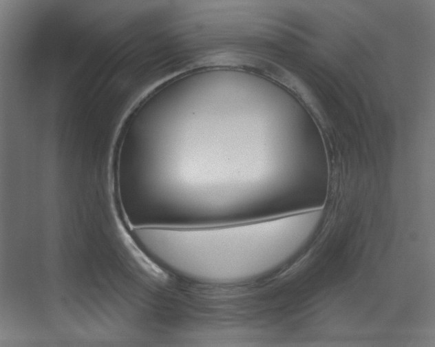 X0000073440795200607281030