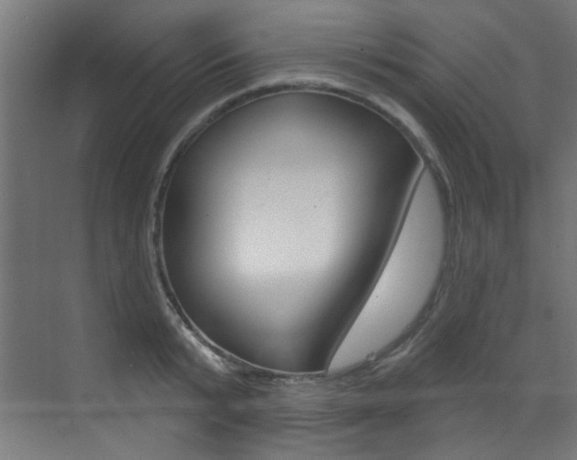 X0000073440799200607281030