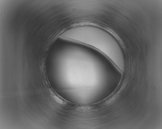 X0000073440801200607281030