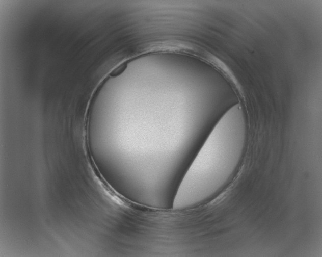 X0000073440802200607281030