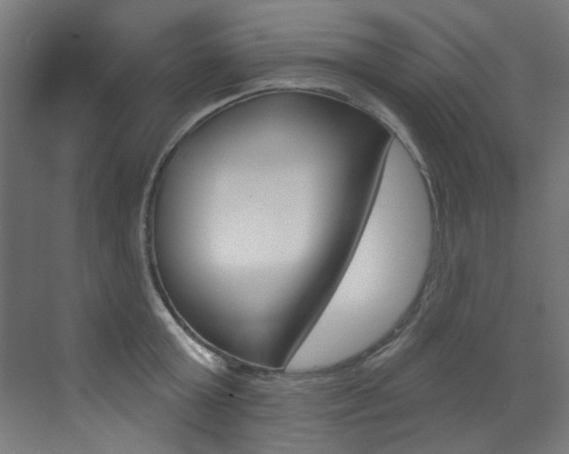X0000073440803200607281030