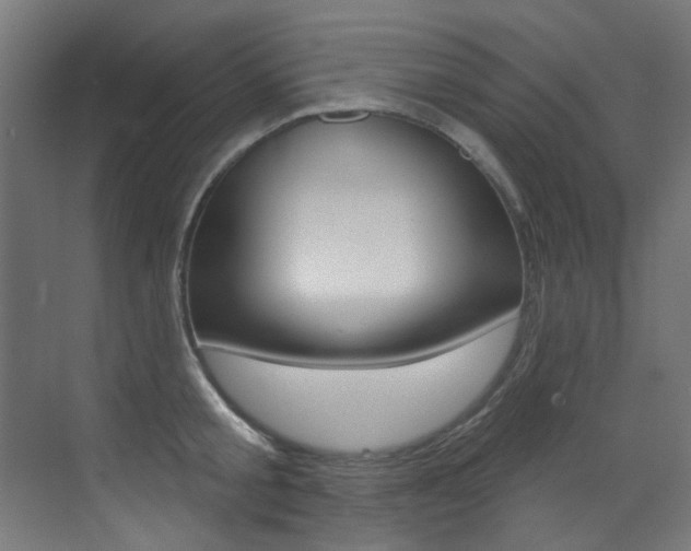 X0000073440805200607281030