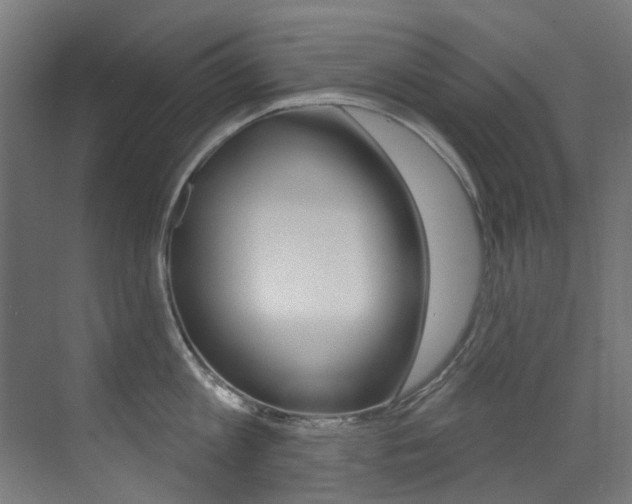 X0000073440813200607281029
