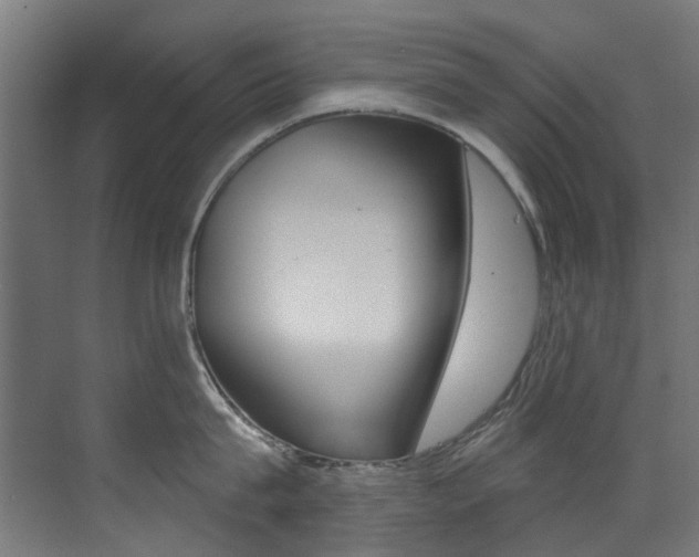 X0000073440815200607281029
