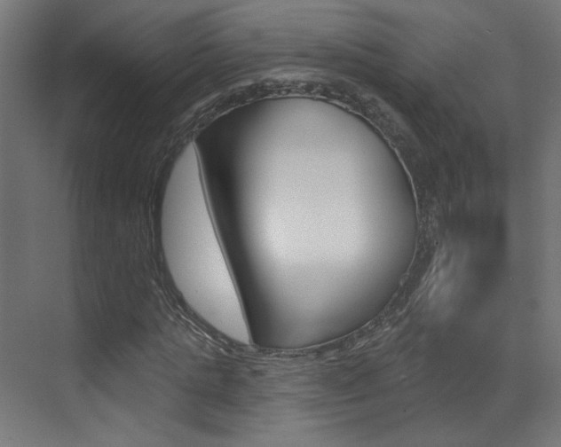 X0000073440821200607281029