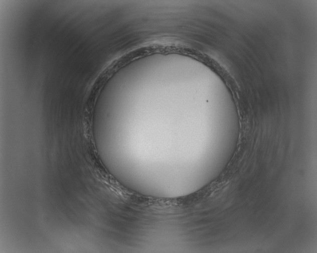 X0000073440823200607281029
