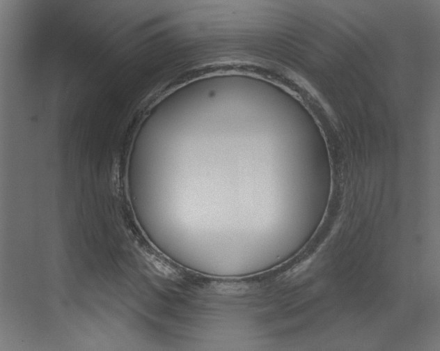 X0000073440825200607281029