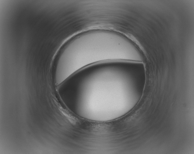 X0000073440830200607281029